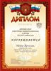 2014-2015 Медер Ярослав 9л (РО-физика)